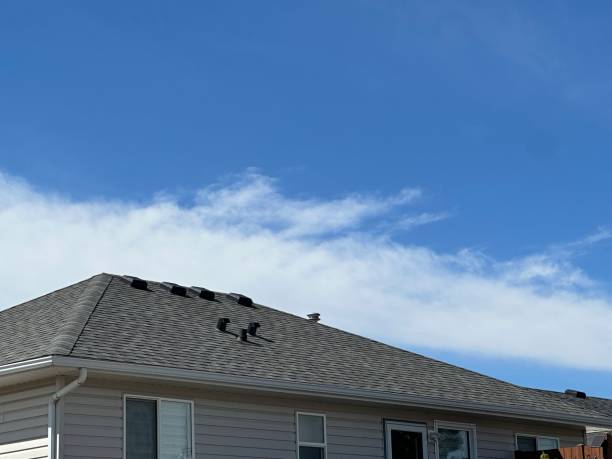 Best Cold Roofs  in USA